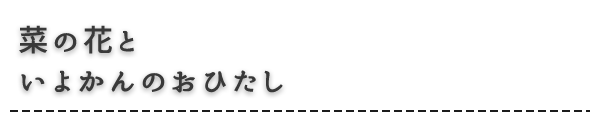 菜の花と いよかんのおひたし